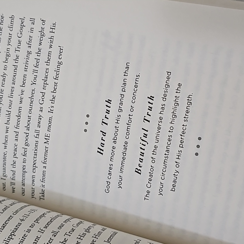 Gospel Centered Mom Book - Picture 8 of 12